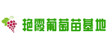Gϼ