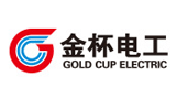金杯電工股份有限公司 金杯電工股份有限公司