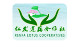 江蘇徐州豐縣仁發(fā)蓮藕合作社 江蘇徐州豐縣仁發(fā)蓮藕合作社