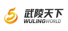 貴州銅仁武陵天下網(wǎng)絡(luò)科技有限公司 貴州銅仁武陵天下網(wǎng)絡(luò)科技有限公司